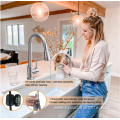 304 Stainless Steel Brushed Sprayer Faucet